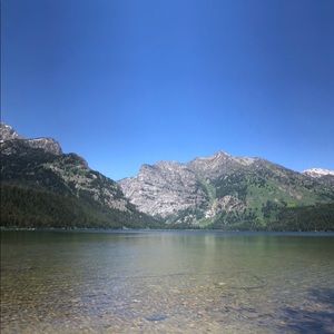 Meet your Posher, Morgan